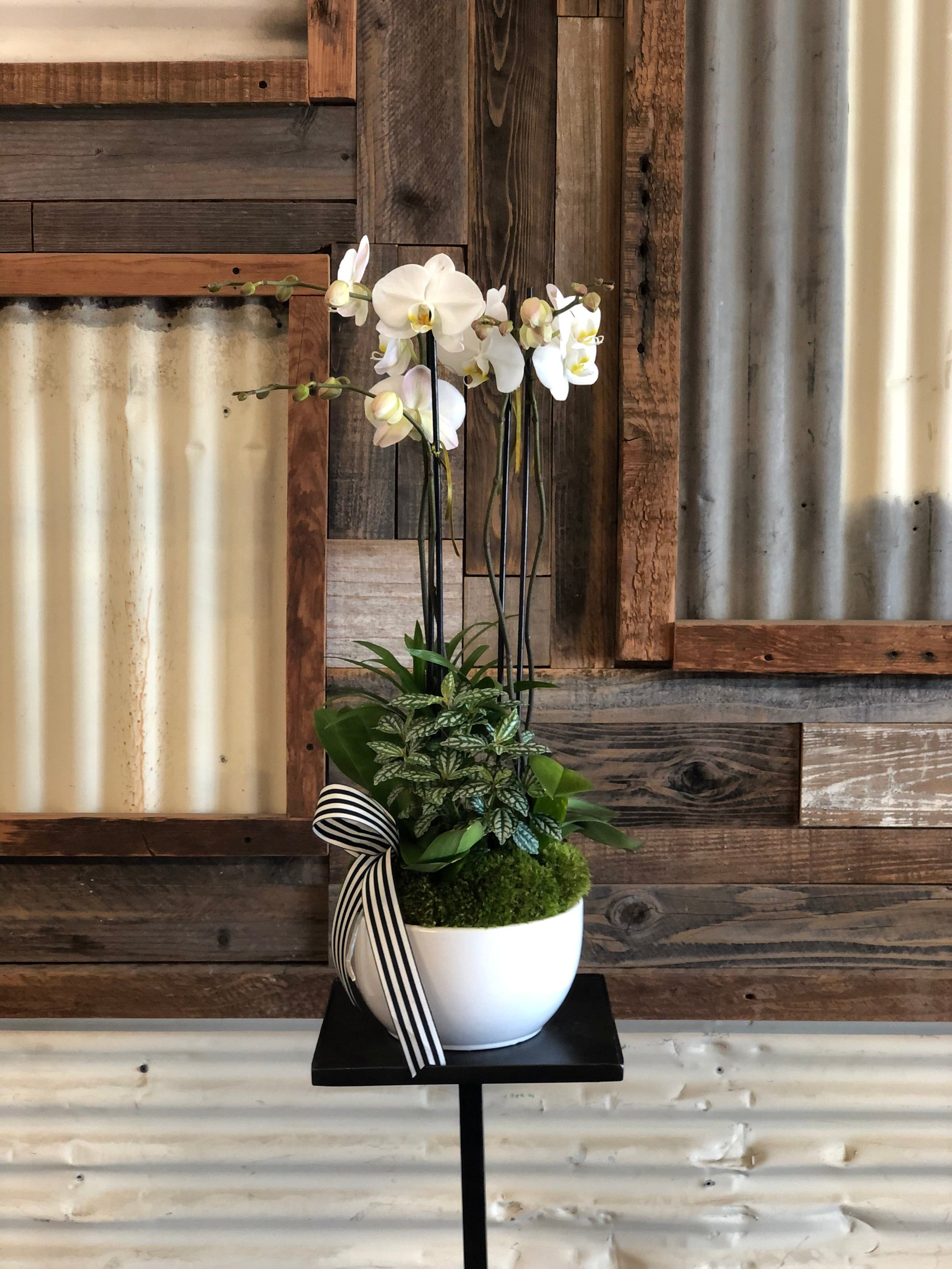 ORCHID GARDEN (not available from 12/19-12/26) | Hello Lovers